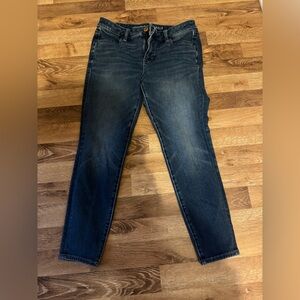 American Eagle Outfitters Dark Wash Skinny Jeans